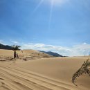 내맘대로 세계여행 | 베트남 나트랑 여행 | 프라이빗 판랑 사막 투어 후기 – 아이와 함께한 내 맘대로 즐기는 사막 드라이브