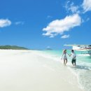 화이트 헤븐 이미지