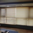 시공-나비 이미지