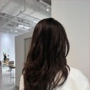 스타미용실 네이버블로그