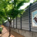 서해안로 이미지