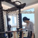 바디핏 이미지