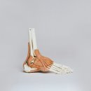 열린경희한의원 이미지