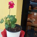 카페(cafe)모퉁이 이미지