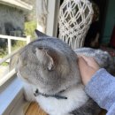 코코코게스트하우스 이미지