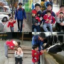 승민목장 이미지