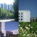 사이버광고 | [빈티지 디카] 소니 사이버샷 dsc w70 후기 및 작례, 디카 소모품 정보 공유