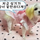 라움팜 이미지