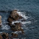 스테이마레 이미지