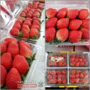 이재현농장 이미지