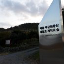 백동무궁화동산 이미지