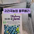 자라곡농원