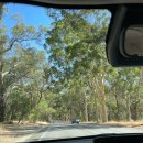 대지주유소 | 서호주 로드트립 퍼스 렌트카 란셀린 모래사막 피나클스 칼바리 1박2일 호주운전