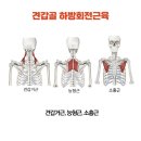 다나필라테스 이미지