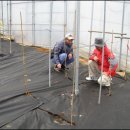 봉진농장 이미지