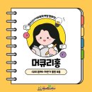 팀머큐리 이미지