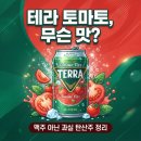 (주)테라 | 테라 스파클링 토마토 맛 후기 전, 맥주 아닌 과실 탄산주 도수·판매처 정리