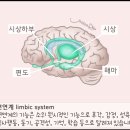 전두엽 개선훈련 48. 강박행동은 전두엽을 자극하는 비상구 이미지