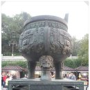 청하약국 이미지