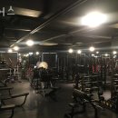 짐어스 이미지