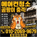 대장동 | 대장동 탄성코트비용 솔직후기, 대박 만족