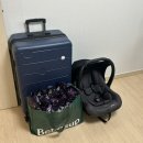 마지막 임신 일기 : 남씽씽 그녀는 언제 태어날 것인가
