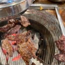 참토우 이미지