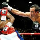 가드복싱 이미지