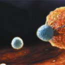 경희대학교 의학전문대학원 이미지