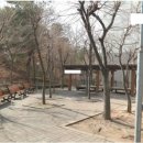 용인 호수청구아파트 Daum카페