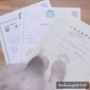 마카롱통신 이미지