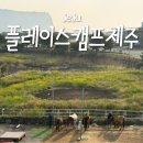 성산구 ⓒ-24 | 플레이스캠프 제주 성산일출봉 유채꽃 뷰 맛집 제주도 동쪽 숙소 4성급 호텔 2만원대?