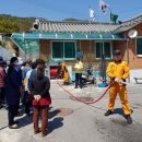 골든호스 이미지