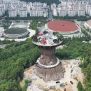 트리트리 이미지