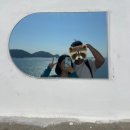 세븐일레븐 부산광안이안점 | [부산여행] 흰여울마을 고냥이 + 광안리 피크닉