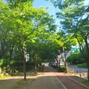 중앙로길 | 김해 내외동 예쁜길