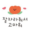 씨아트