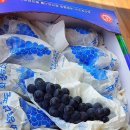 성복농장 이미지