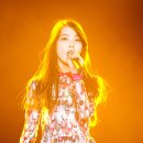 하이미스터 이미지