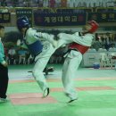 [제42회 대통령기 전국단체대항 태권도대회 화보] 이미지