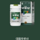 주식회사 대웅환경개발 | 대웅제약 우루샷, ESG 캠페인 ‘SAVE THE HERO’로 만든 사회적 가치 이야기(우루샷 플러스 섭취후기)