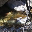 흰구름 맑은달 이미지