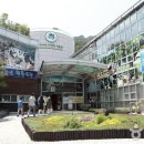 사계절야생화 이미지