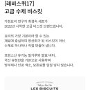 레비스퀴17