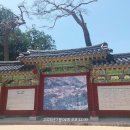죽도마트
