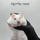 와우펫앤쥬 김해점 이미지