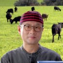조선흑염소 이미지
