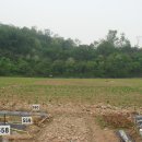 초지농장 이미지