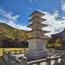 고산사목조석가모니불좌상 | 대전 식장산 고산사(大田 食藏山 高山寺)