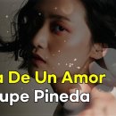 Historia De Un Amor(어느 사랑의 이야기) - Guadalupe Pineda(과달루페 피네다) 이미지